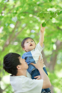 子どもを抱き上げている男性と、木の葉っぱを取ろうとする子ども