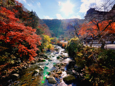 紅葉と渓流が広がる自然豊かな景色。