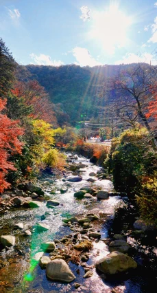 紅葉に彩られた渓谷と清流の美しい風景