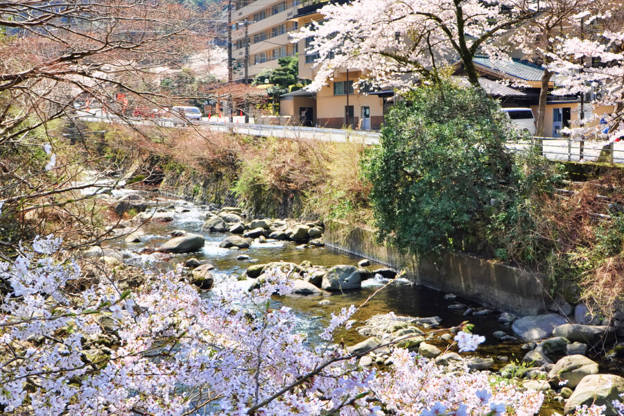 ホテルおかだ周辺に流れる須雲川