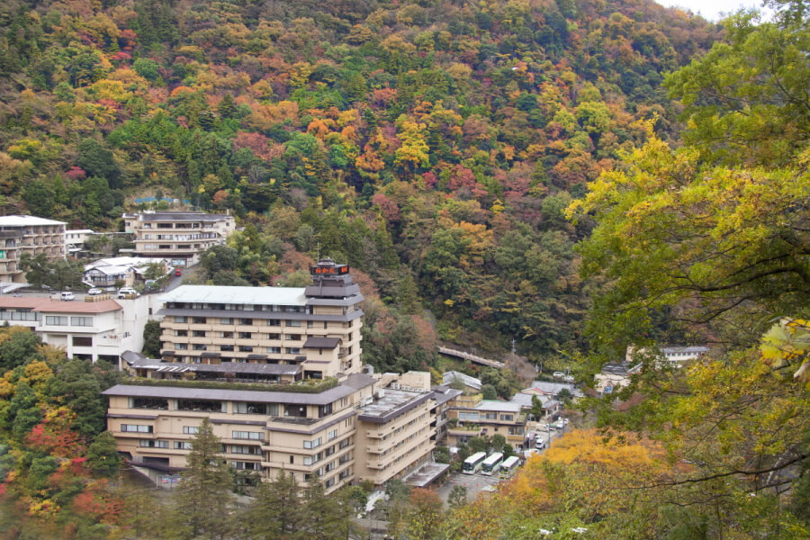 沢山の緑や木々に囲まれたホテルおかだの建物